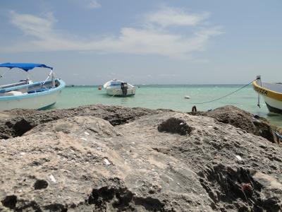 turtel beach