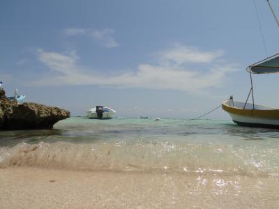 turtel beach